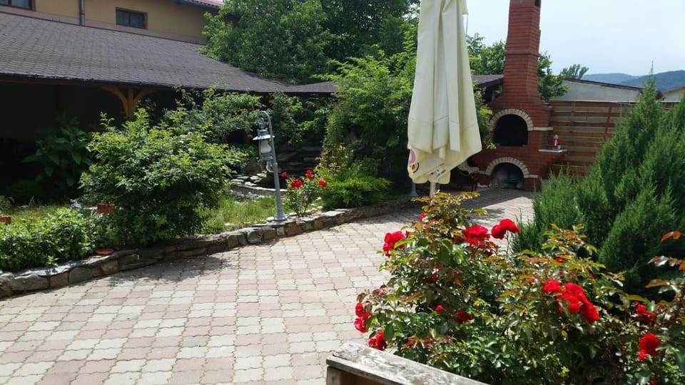 Zodiac Vacation rental in Timiș County