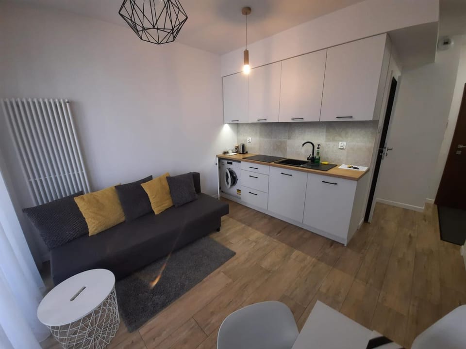 Kitchen or kitchenette, Living room, Seating area