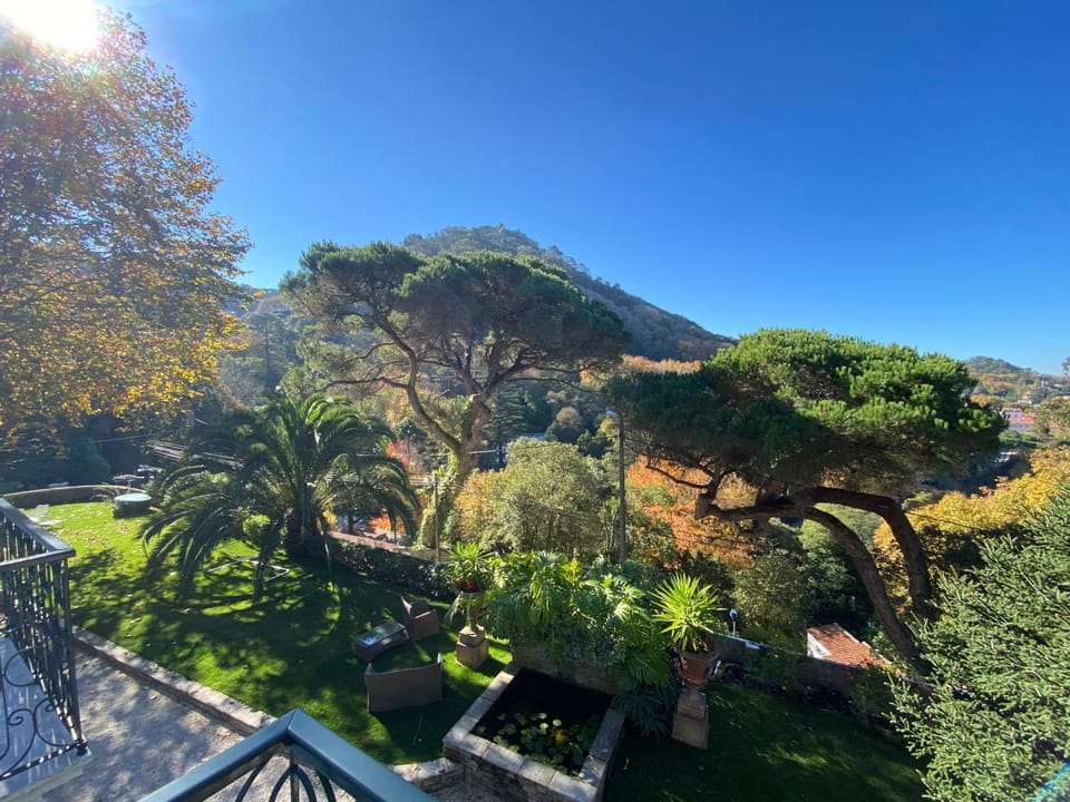 View (from property/room)