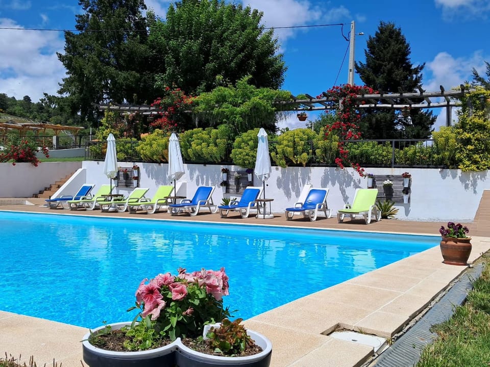 Garden, Pool view, Swimming pool, sunbed