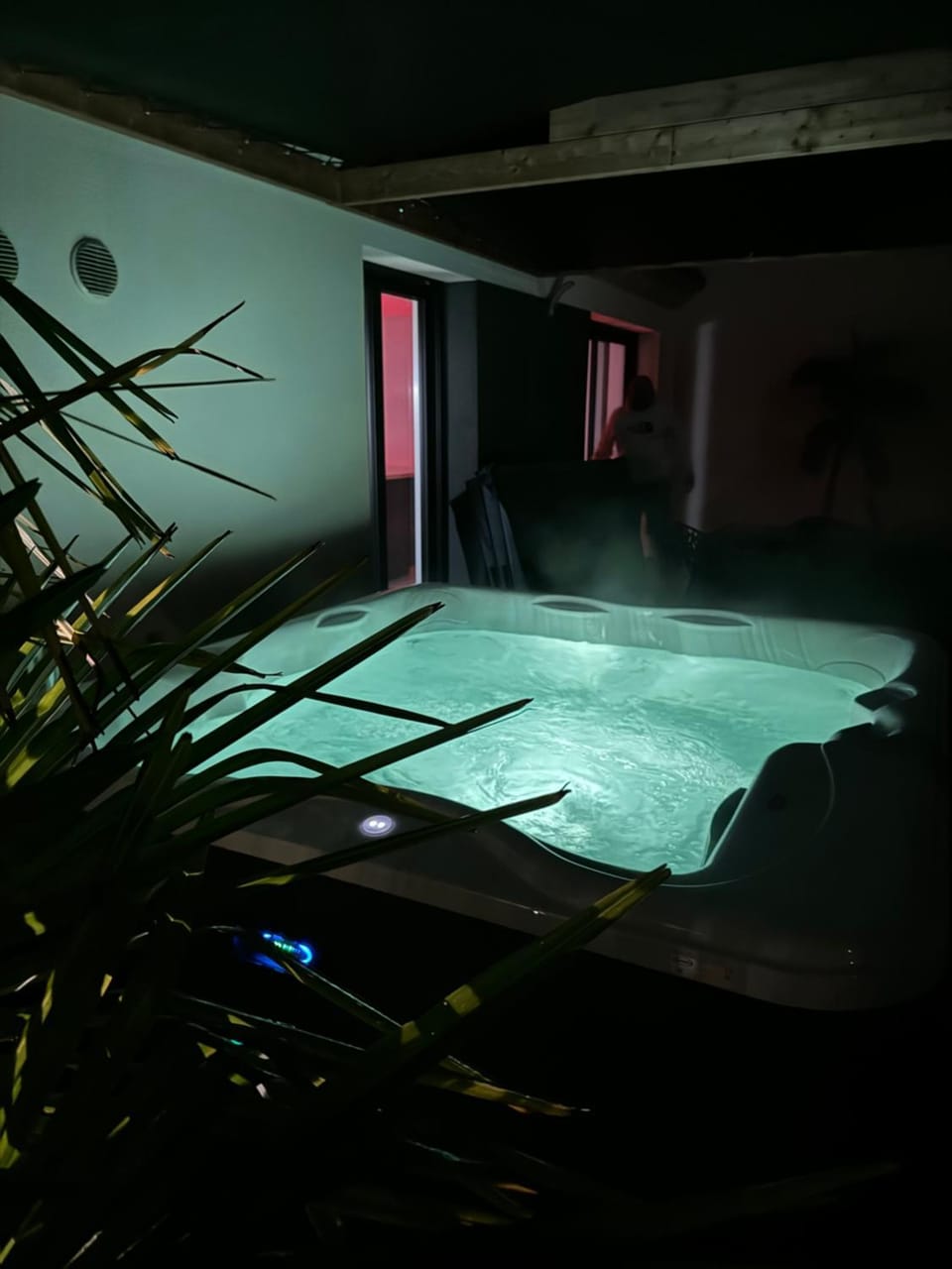 Night, Hot Tub, Balcony/Terrace, Spa and wellness centre/facilities