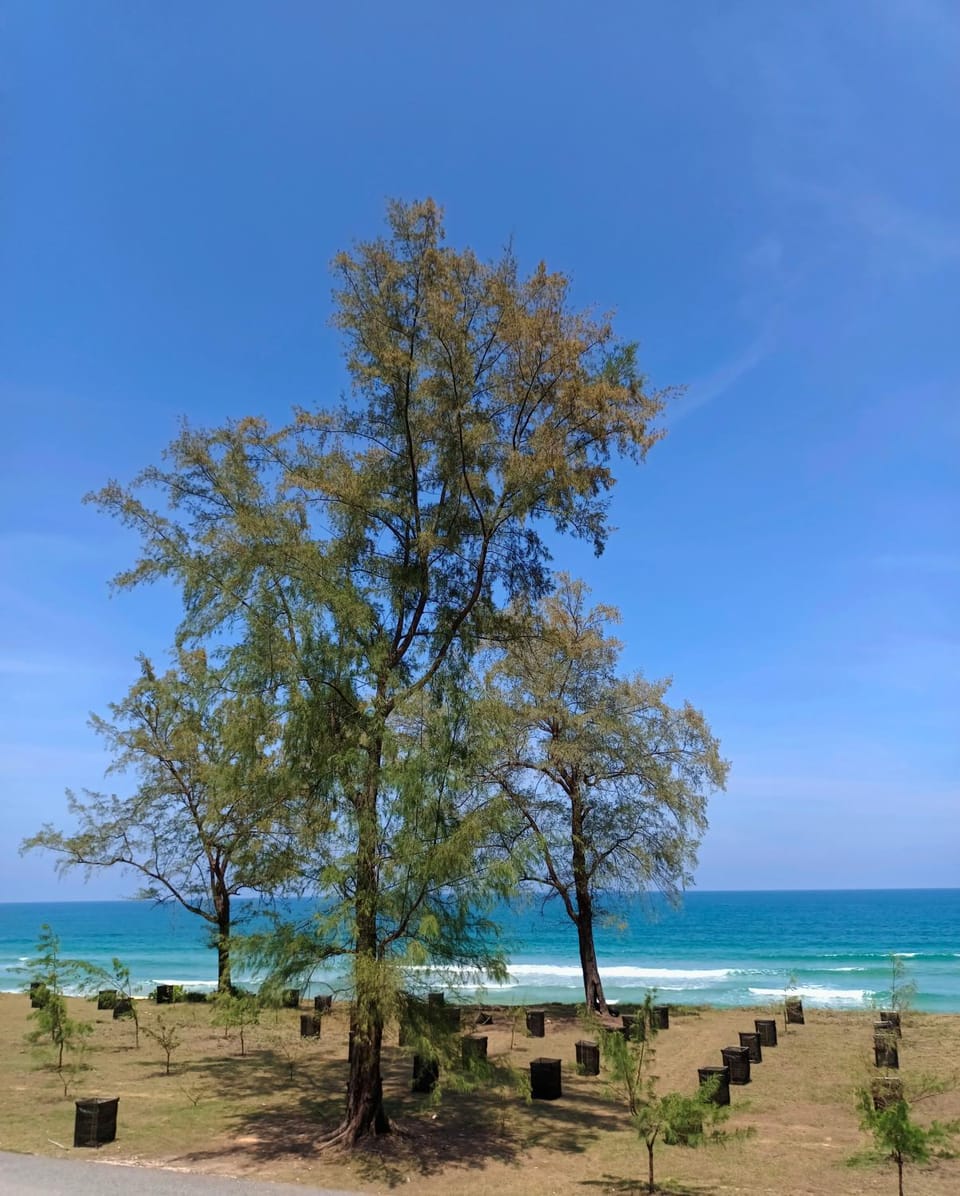 The Retreat Tanjung Jara Nature lodge in Terengganu, Malaysia