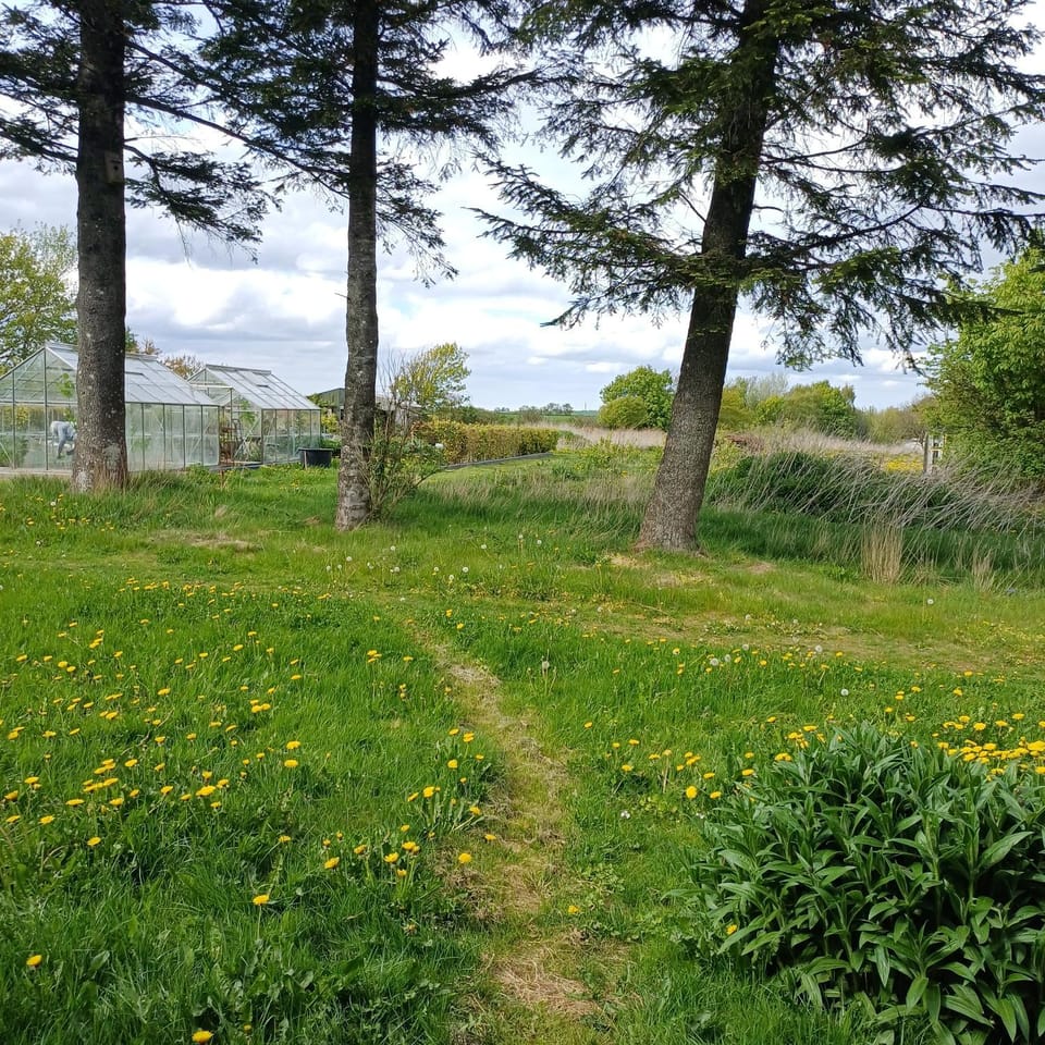 Agerdal - dejligt hus midt i mark og have Farm Stay in Central Denmark Region