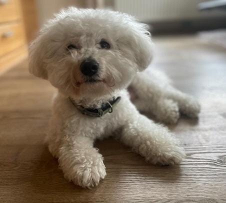 Villa Nordhang Apartment in Winterberg