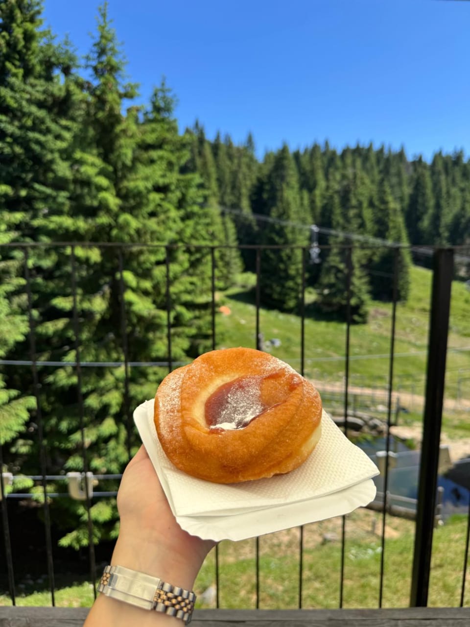 Planinski vrhovi Jelač Apartment in Serbia