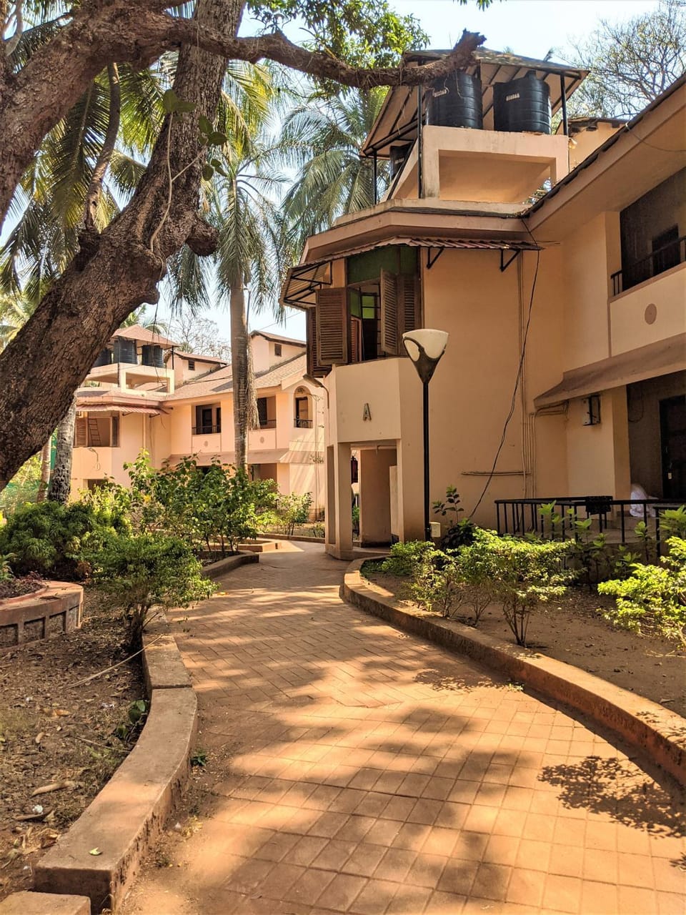 Garden view
