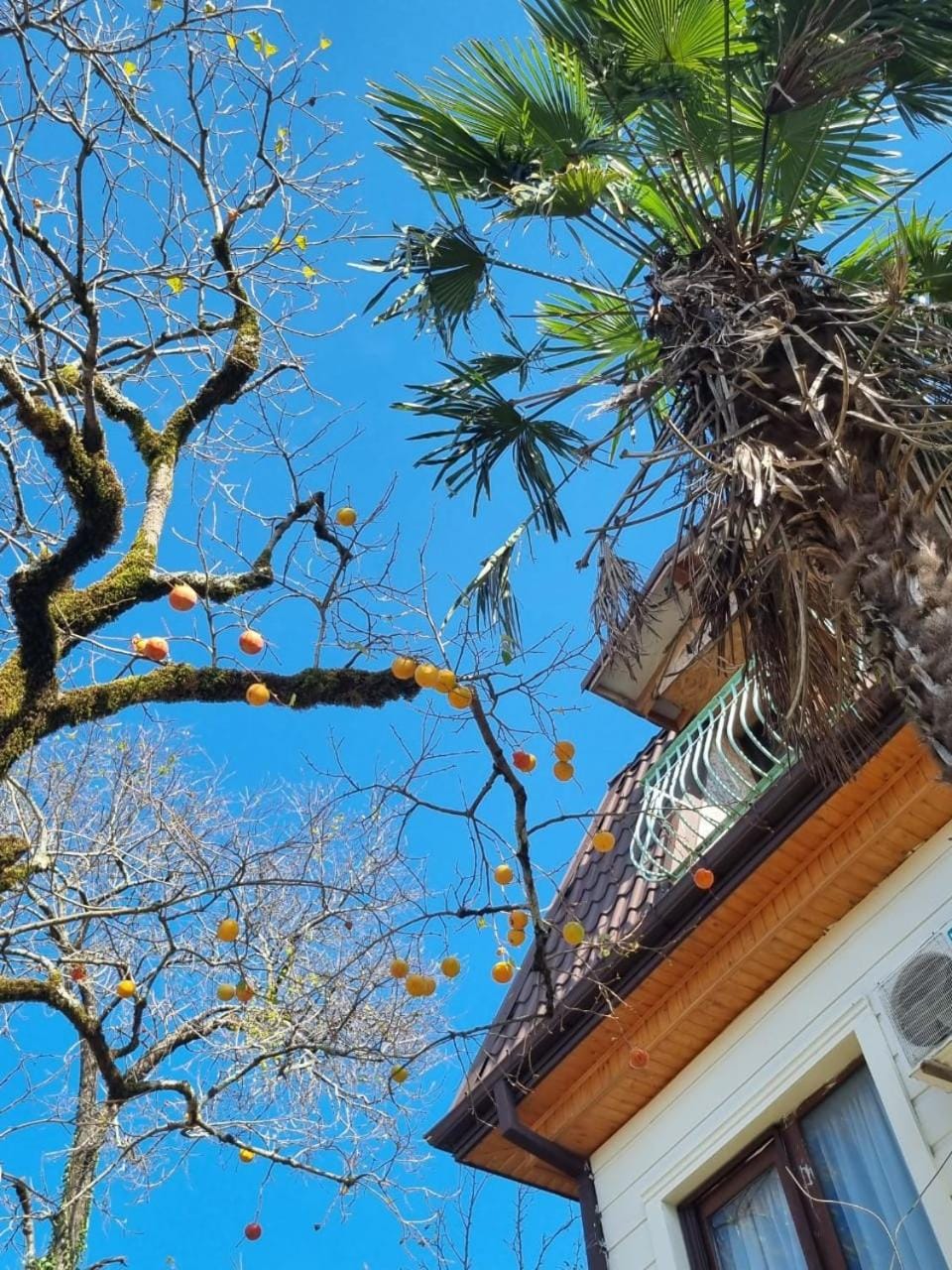 Spring, Day, Autumn, On site, Seasons