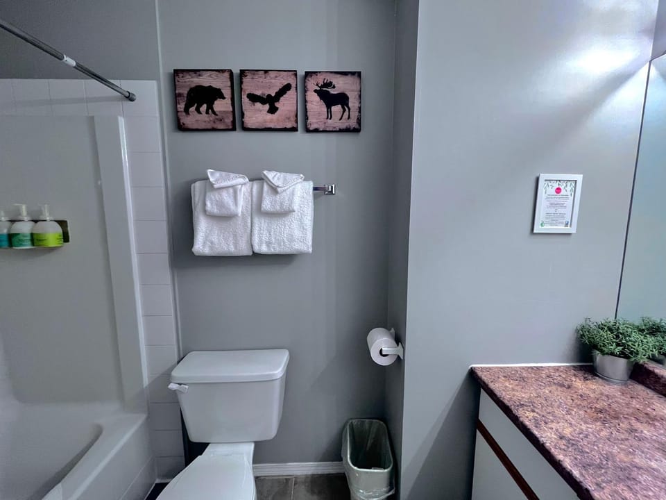 Toilet, Bathroom, towels
