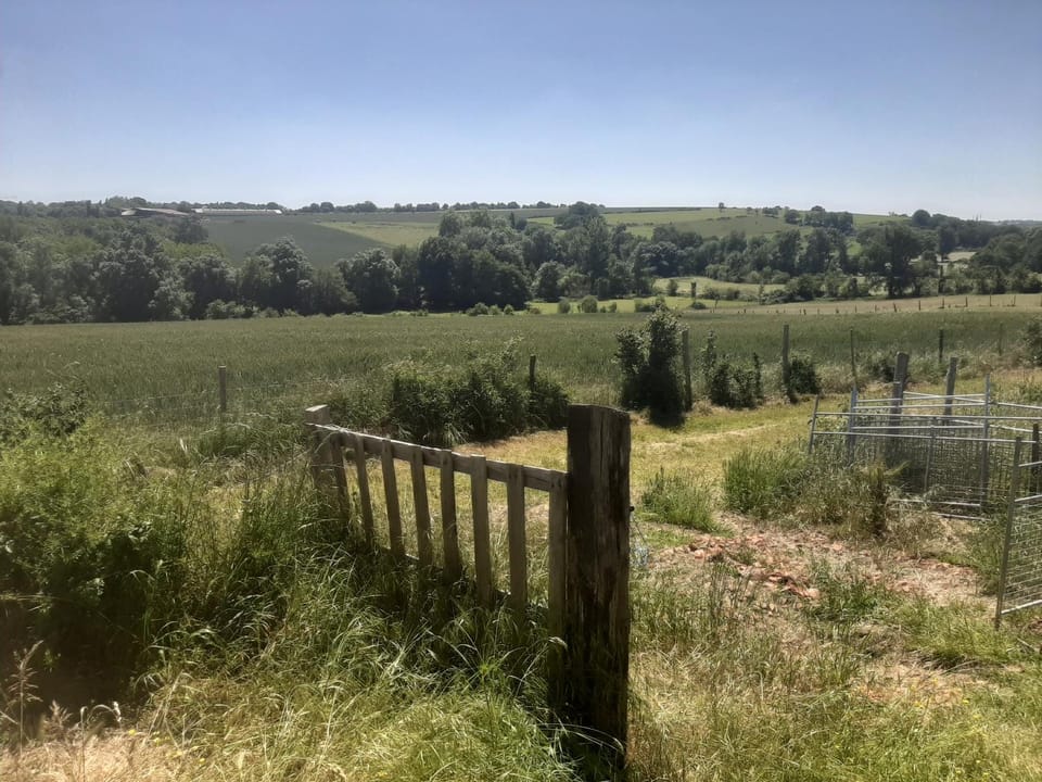 View (from property/room)