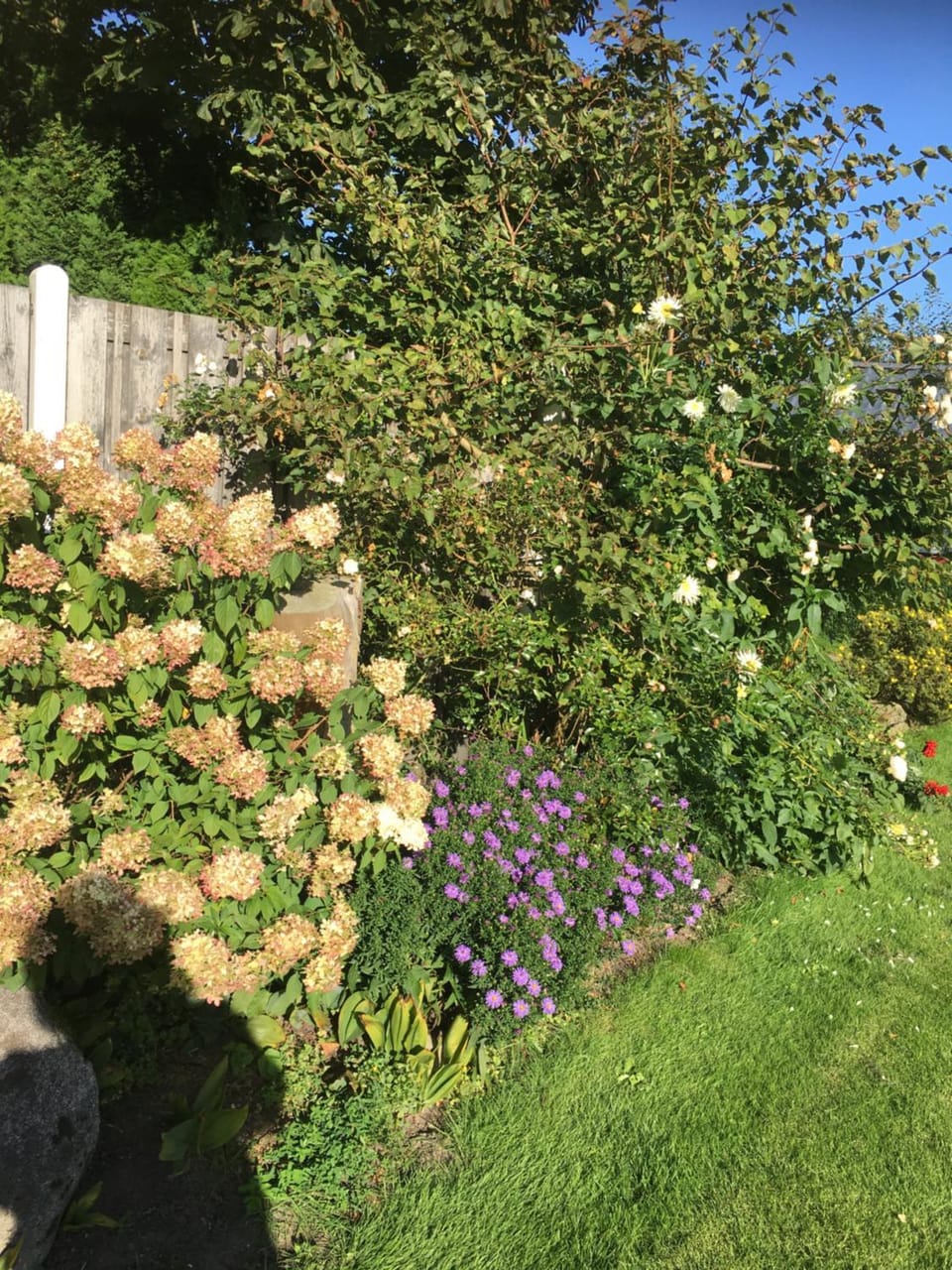 Garden, Garden view