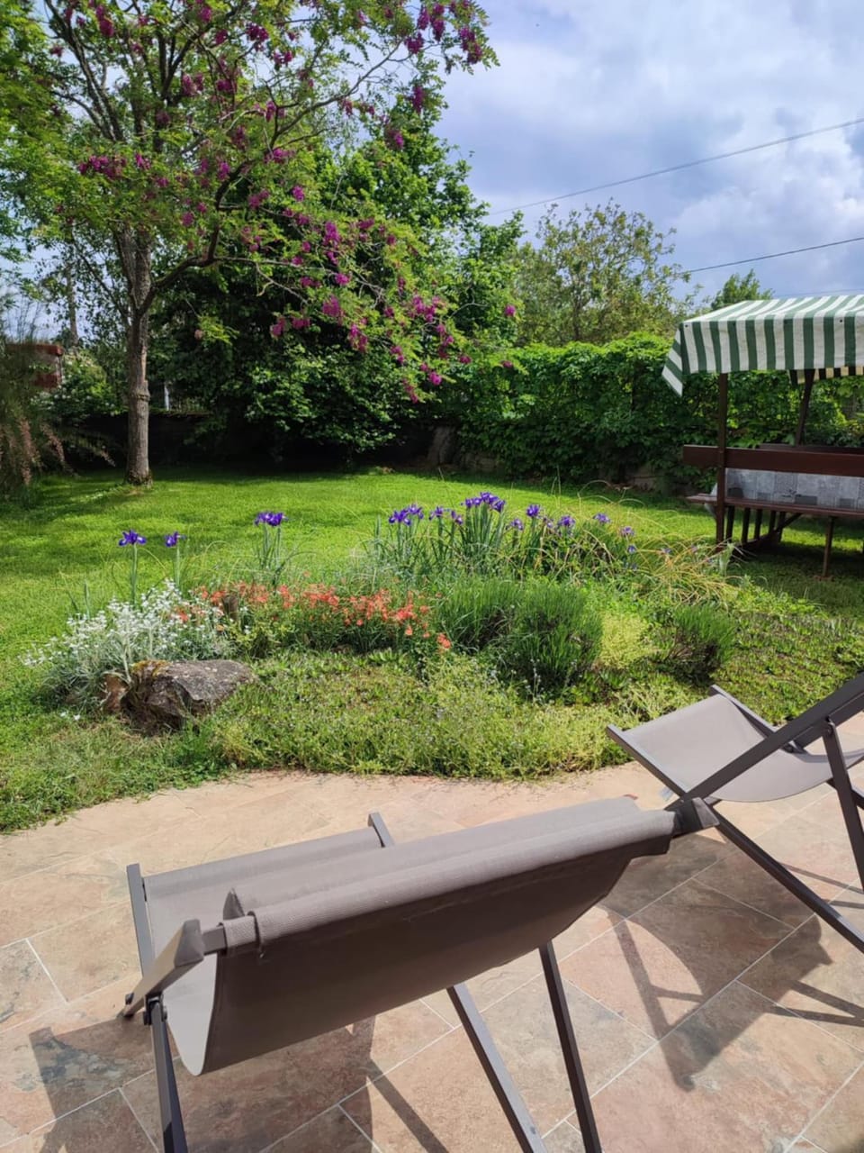 Patio, Garden, Garden view