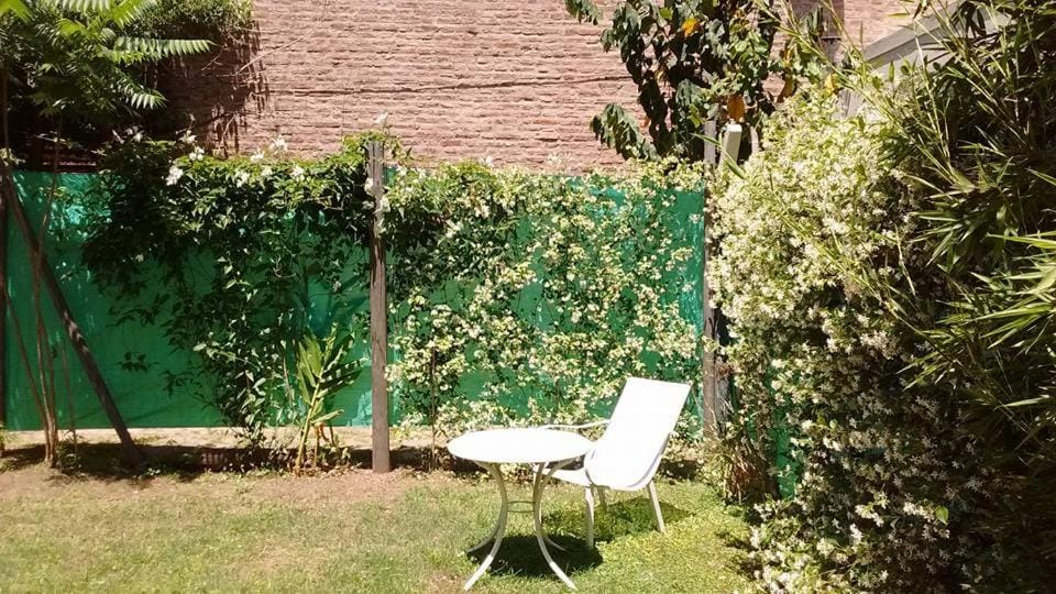 Patio, Garden, Garden