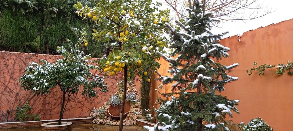 La Rayuela Vacation rental in Andalusia
