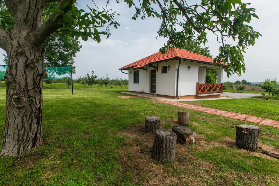 Property building, Garden view