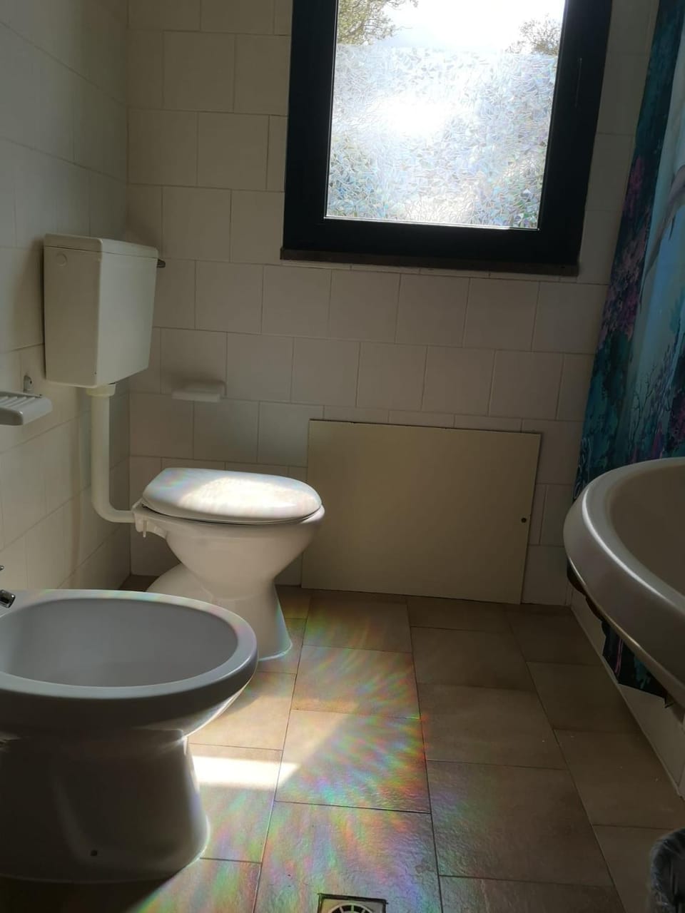 Toilet, Bathroom, bidet