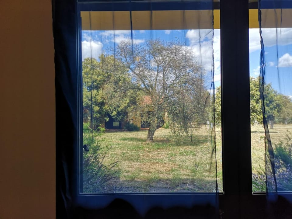 Natural landscape, Garden, Garden view