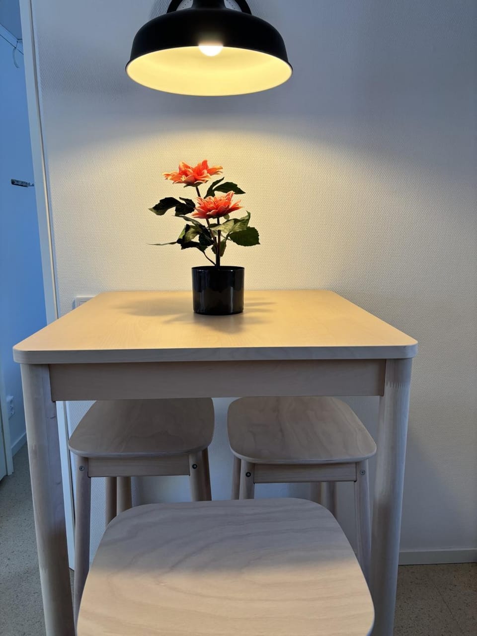 Frost Longstay City Apartment in Kiruna