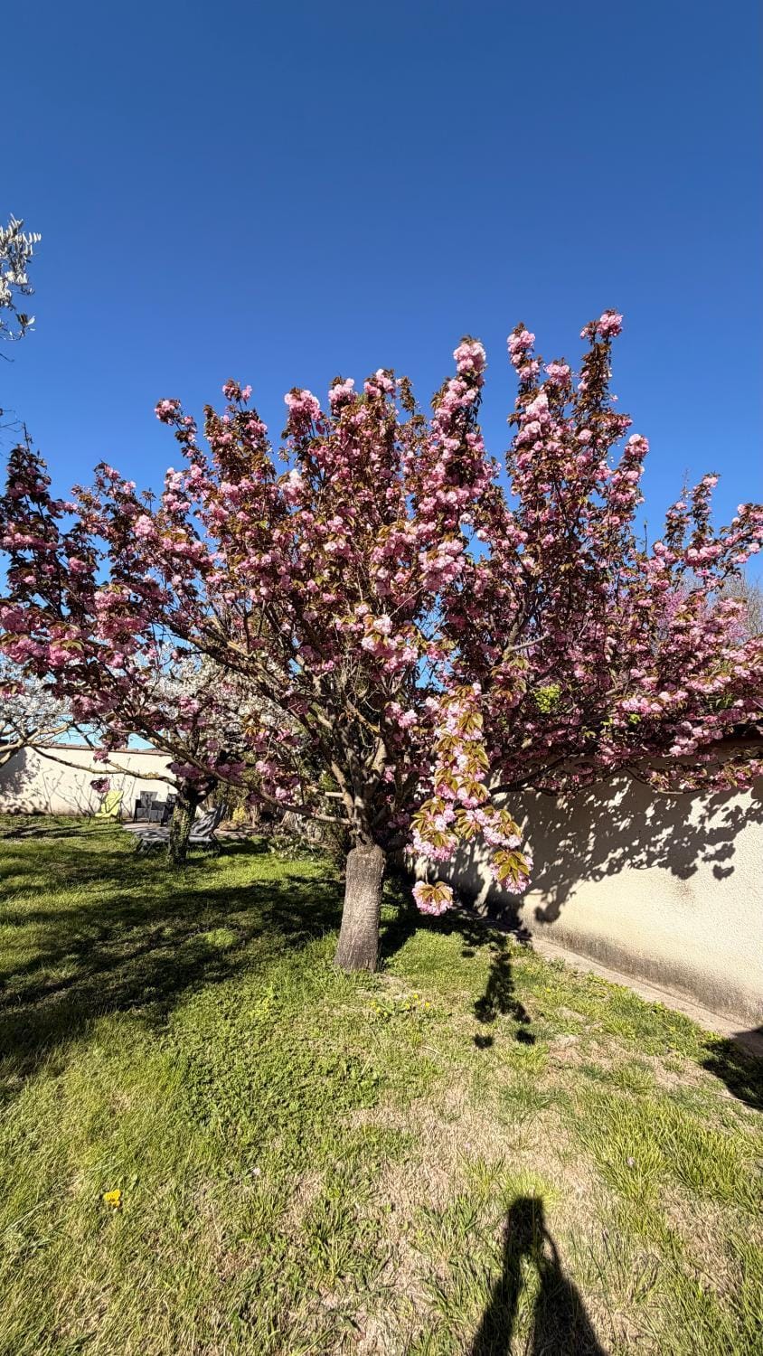 Studio les petits lutins Apartment in Provence-Alpes-Côte d'Azur