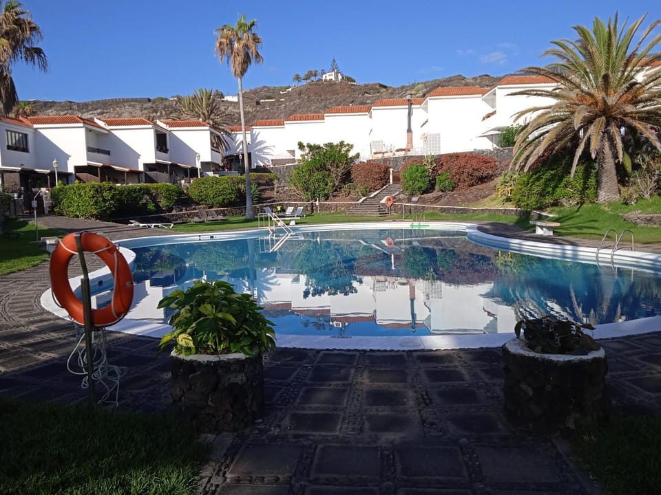Garden, Pool view, Swimming pool, sunbed