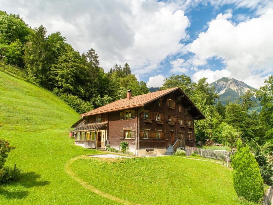 Property building, Summer