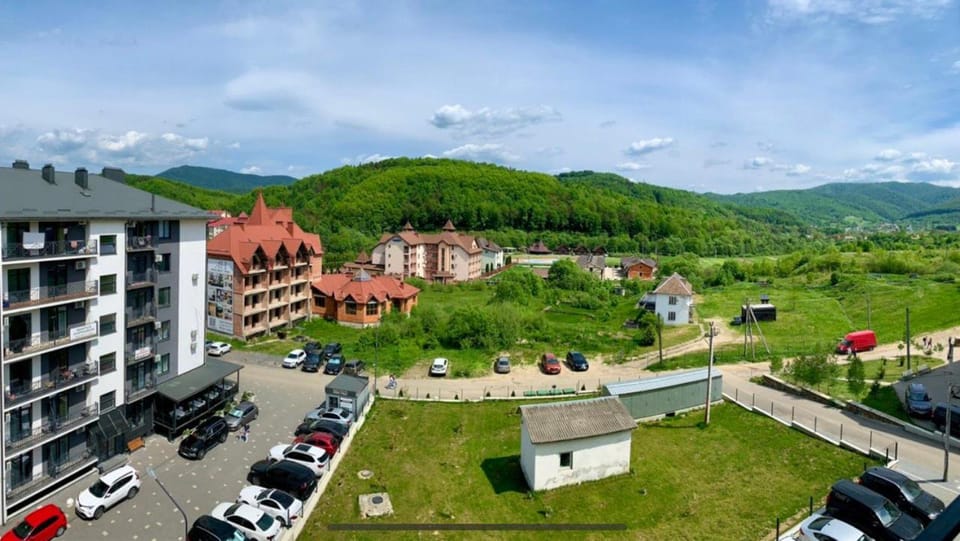 Spring, Neighbourhood, Natural landscape