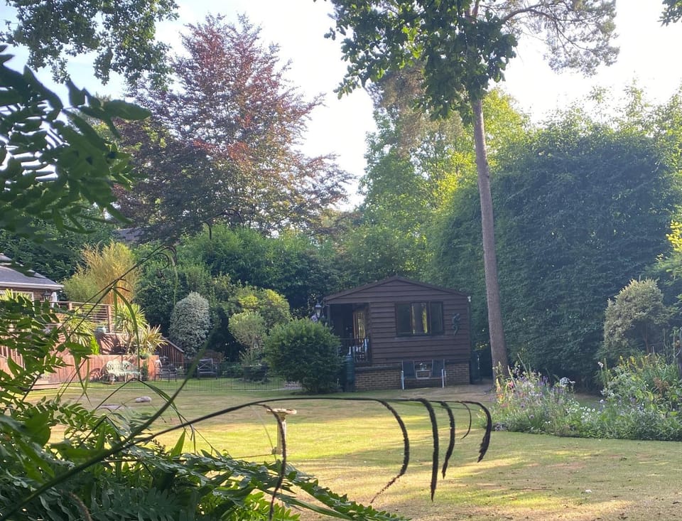 Property building, Garden, Garden view