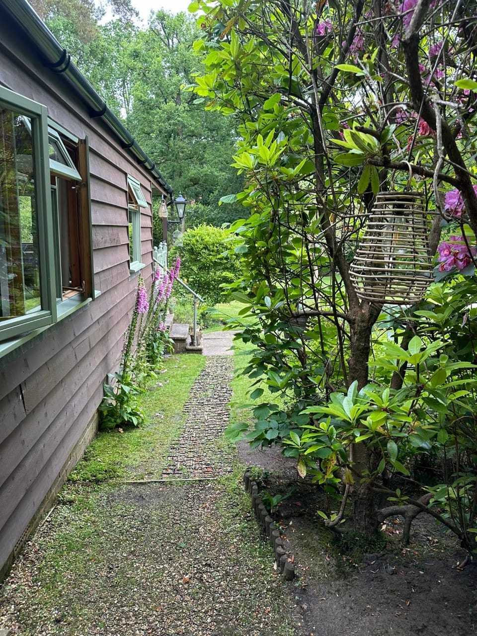 Garden view