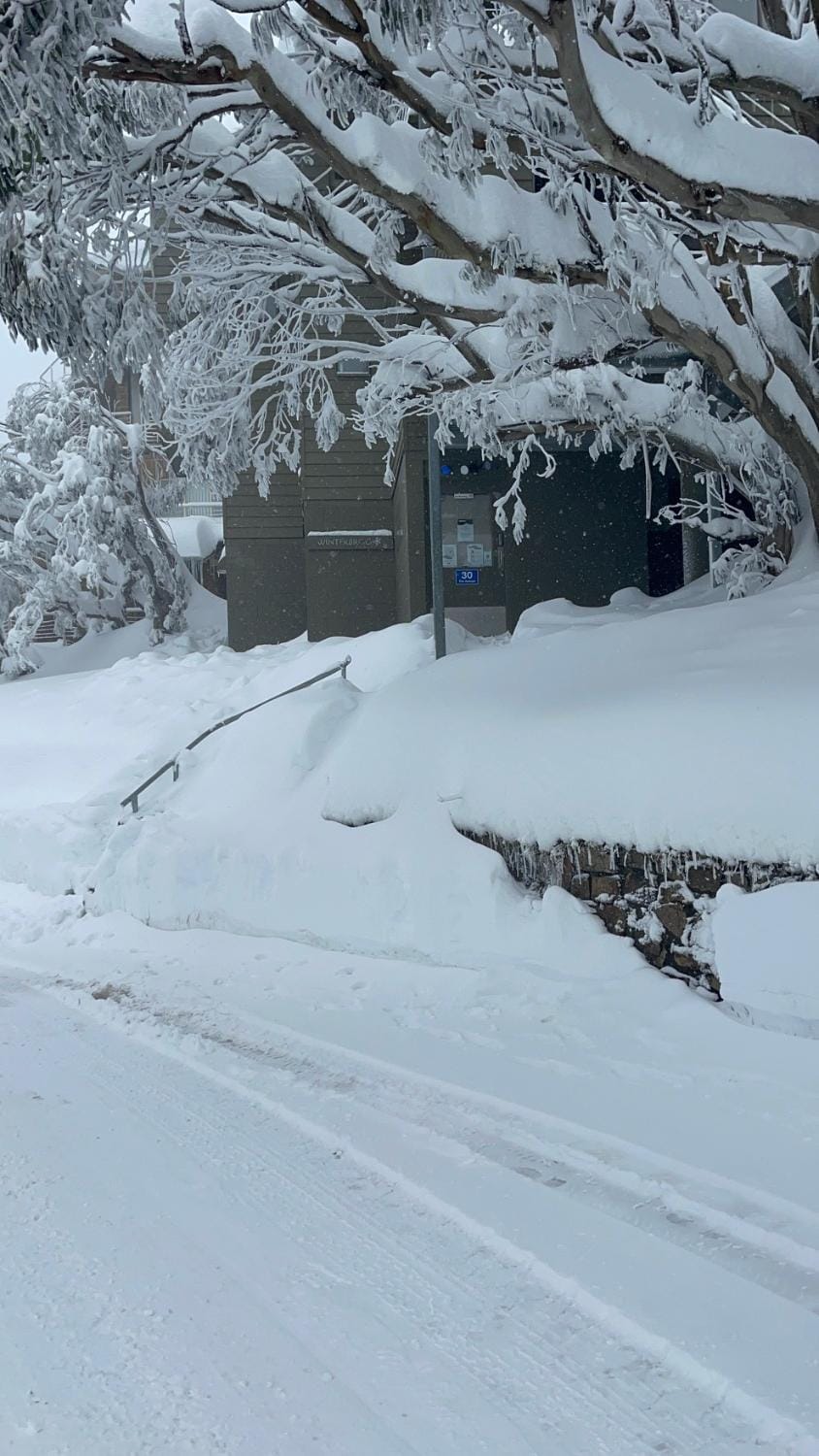 Winterbrook Chalet Chalet in Mount Buller