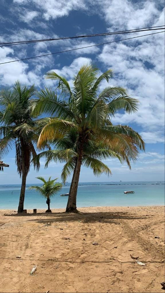 Natural landscape, Beach, Hiking