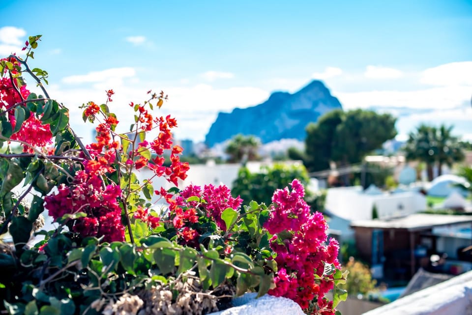 Natural landscape, Garden, Garden view