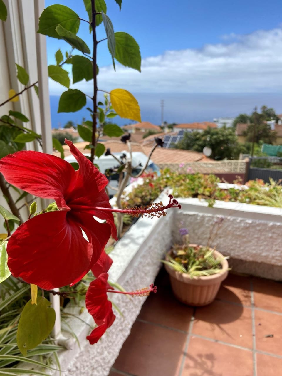 Balcony/Terrace, Sea view