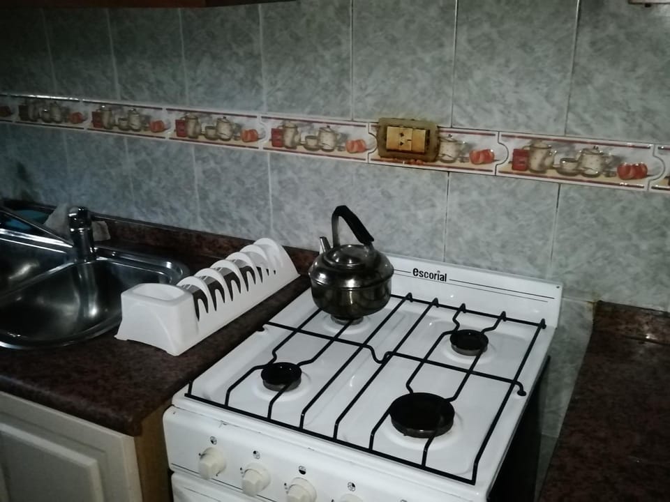 Kitchen or kitchenette, pet friendly