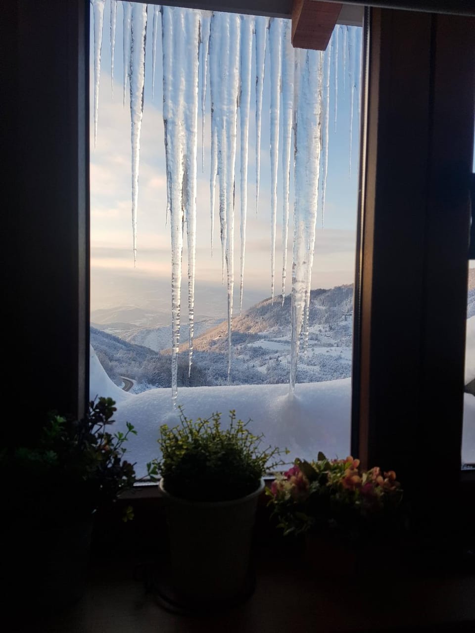 Mountain view