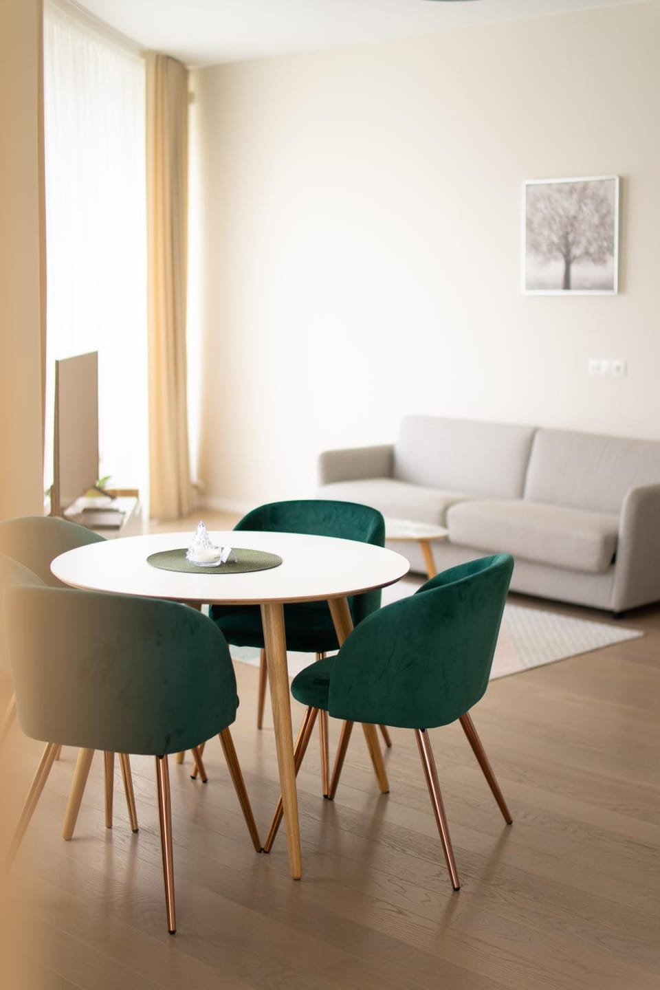 Apartment in Druskininkai City Centre Apartment in Lithuania