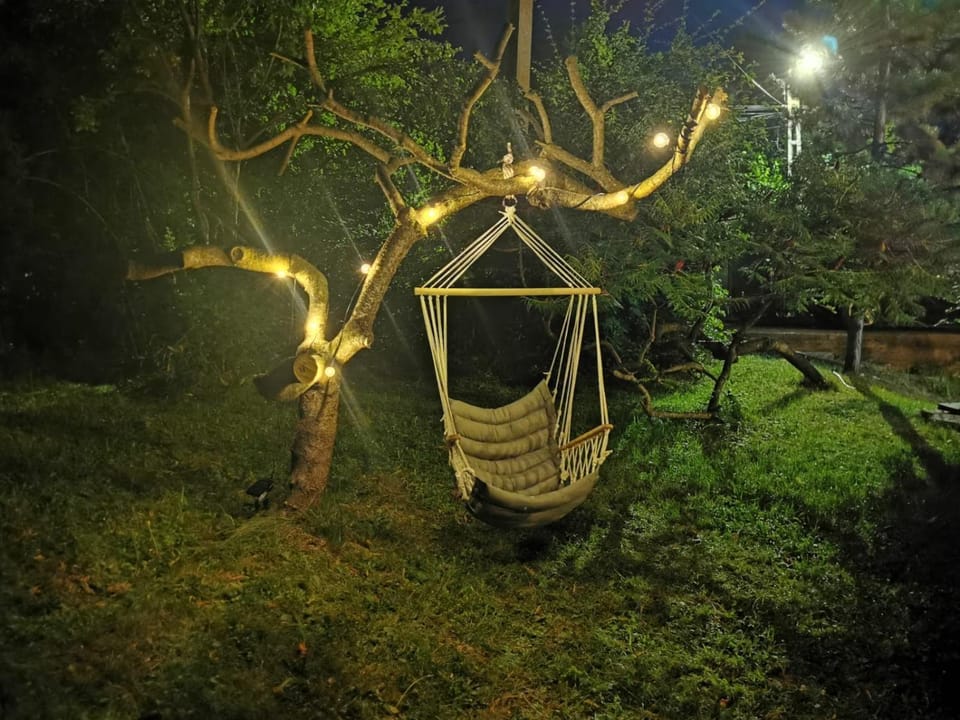 Night, Garden, Garden view