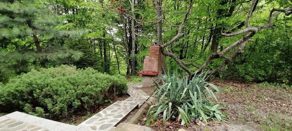 Day, BBQ facilities, Garden, Garden view