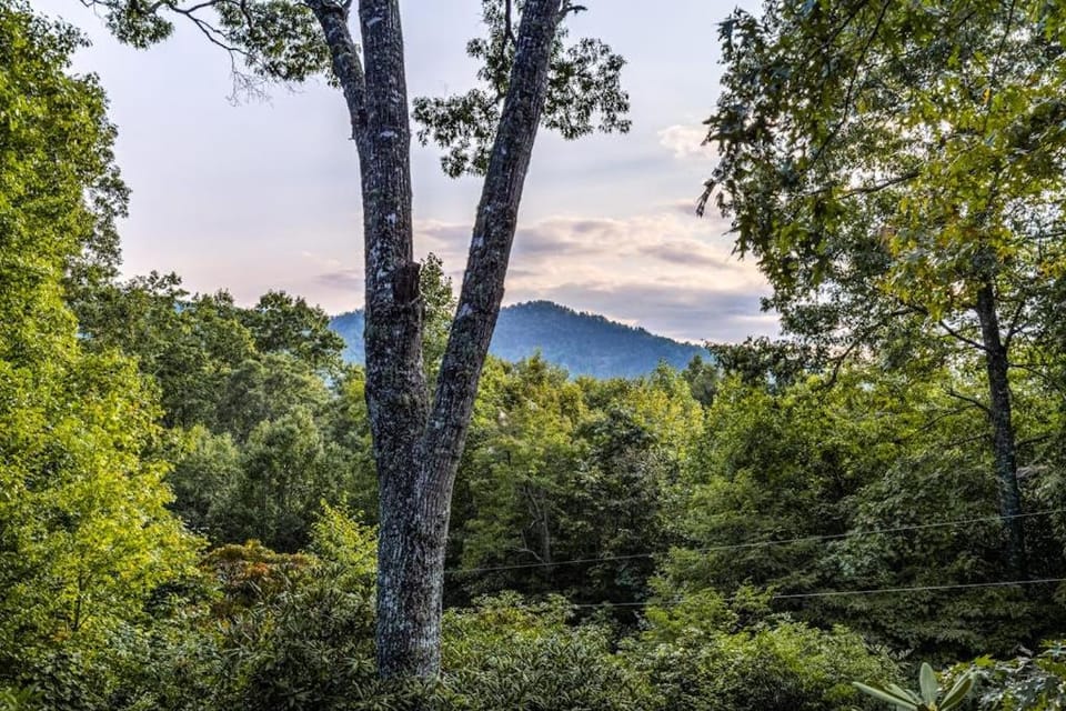 The Treehouse House in Tennessee