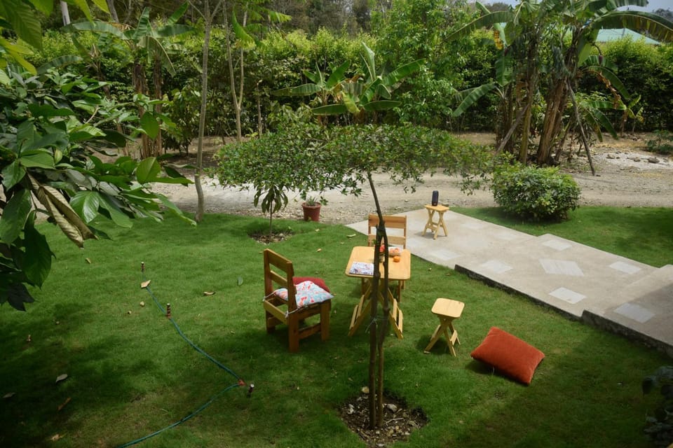 Garden, Garden, Garden view