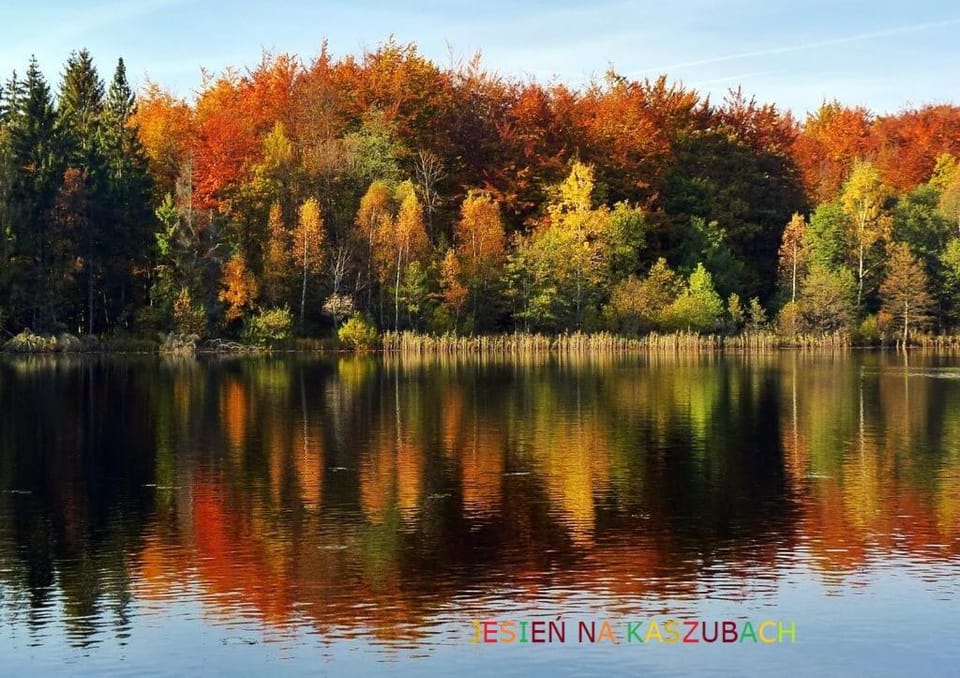 Day, Natural landscape, Lake view