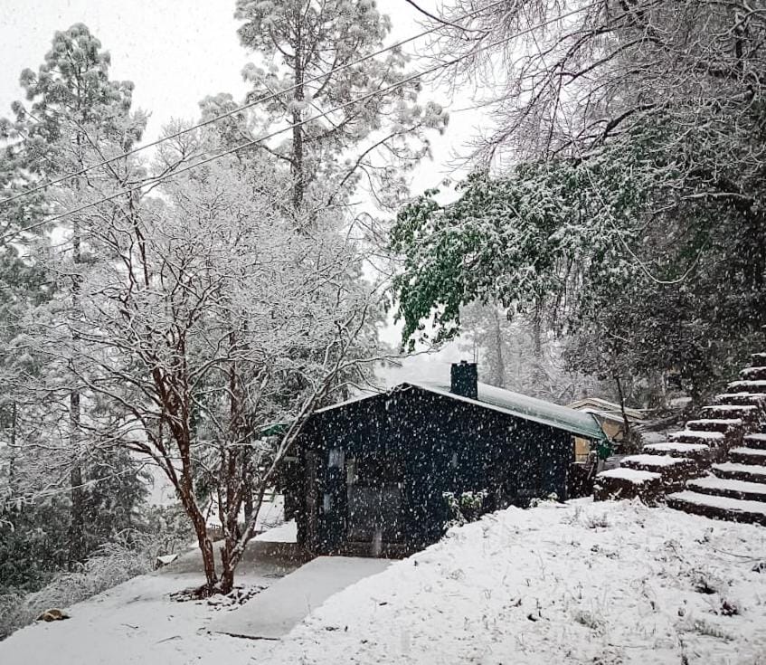 Mulberry House Bed and Breakfast in Uttarakhand