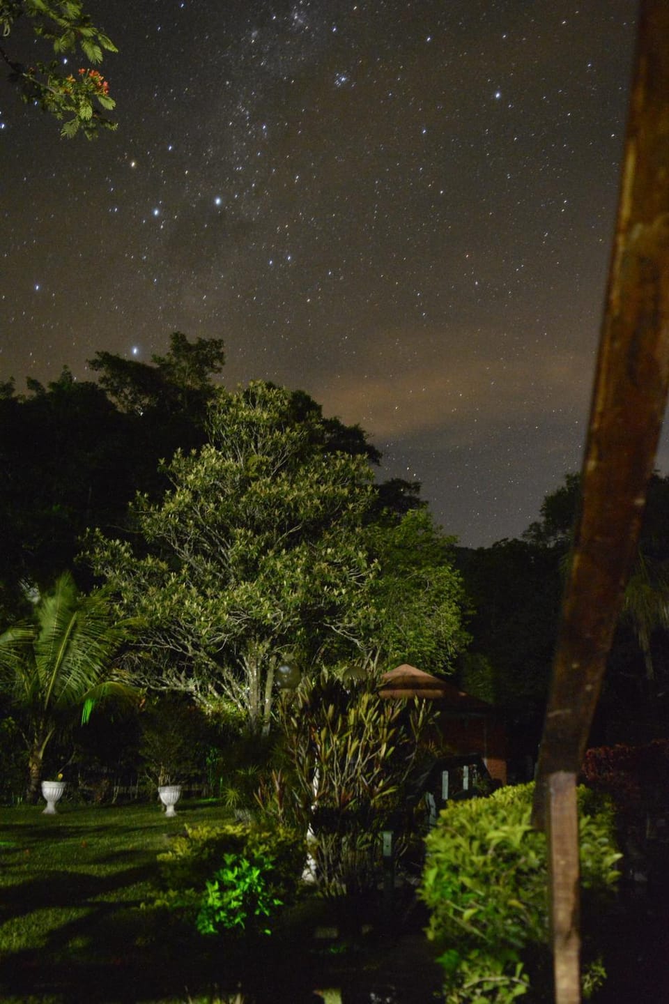 Night, Garden