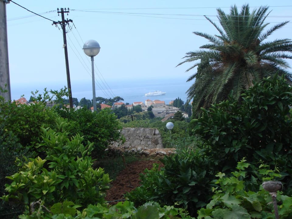 View (from property/room), Garden view