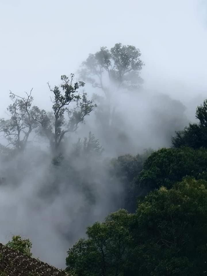 ต้นค้อ สวีทโฮม Vacation rental in Laos