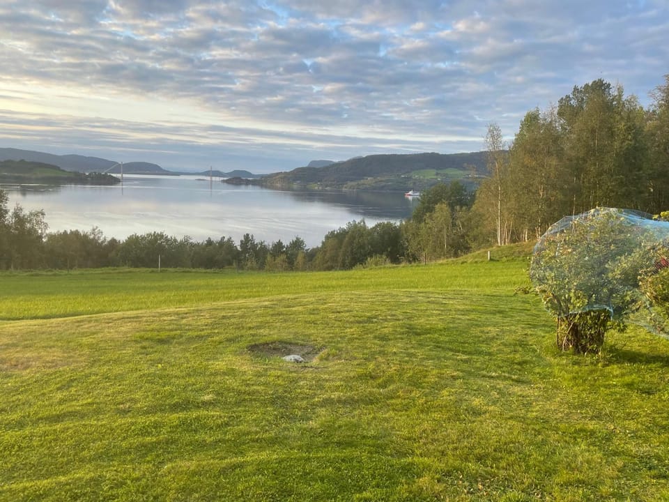 Natural landscape, Garden, View (from property/room), Hiking
