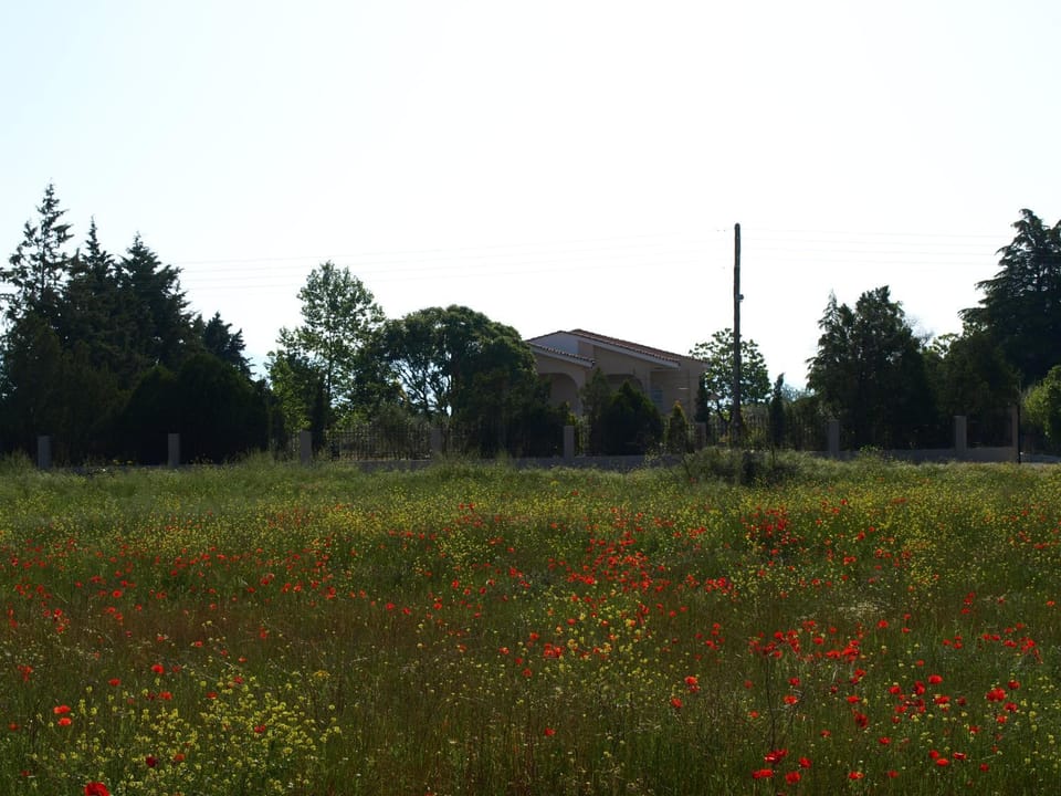 Property building, Natural landscape