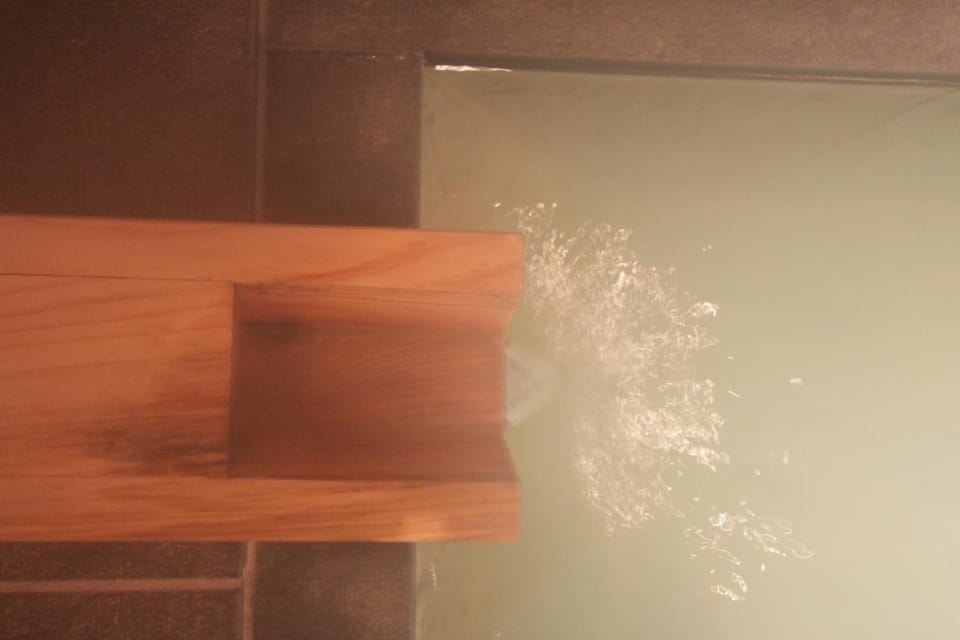 Hot Spring Bath
