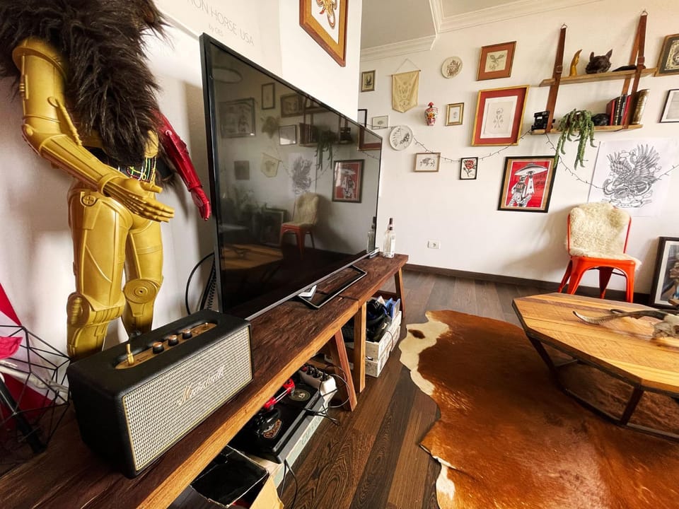 TV and multimedia