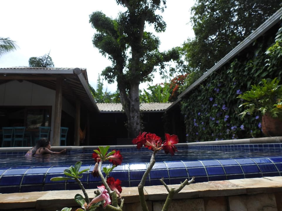 Swimming pool, Swimming pool