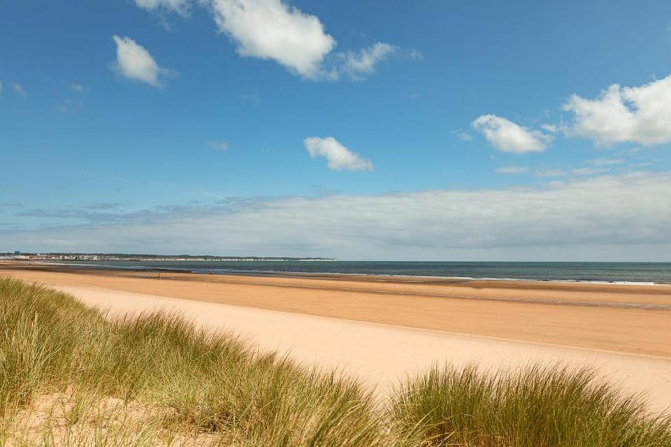 Natural landscape, Beach, Hiking