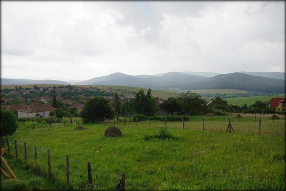 Natural landscape